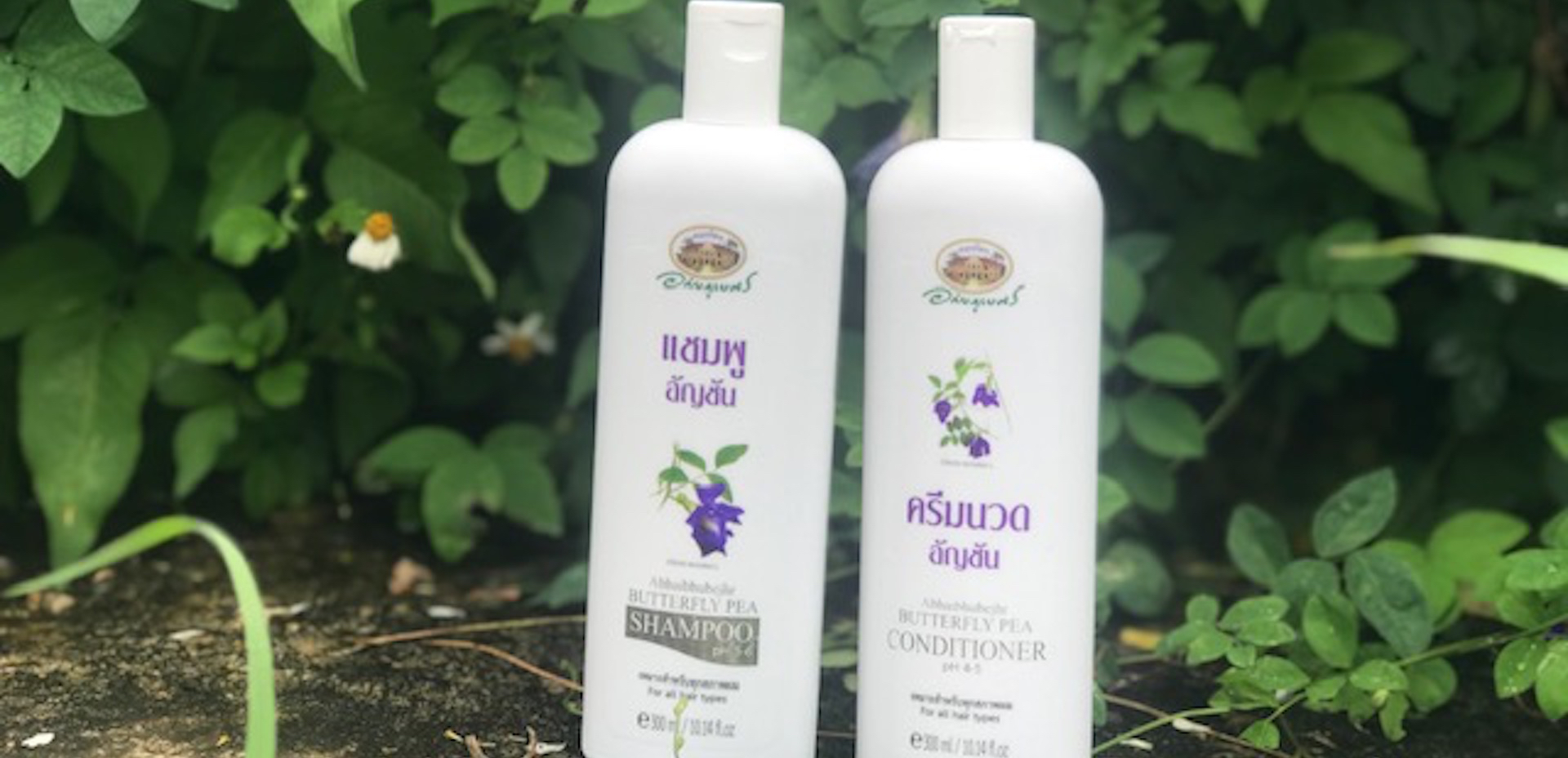 タイ王室発ブランド「アバイブーベ」バタフライピーシャンプーが人気
