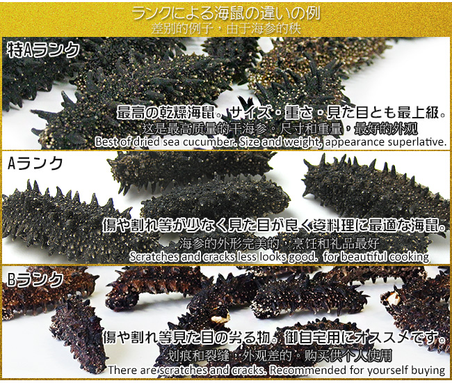 北海道産乾燥ナマコ 訳あり B級品 混合サイズ (中〜小)合計261g 北海道