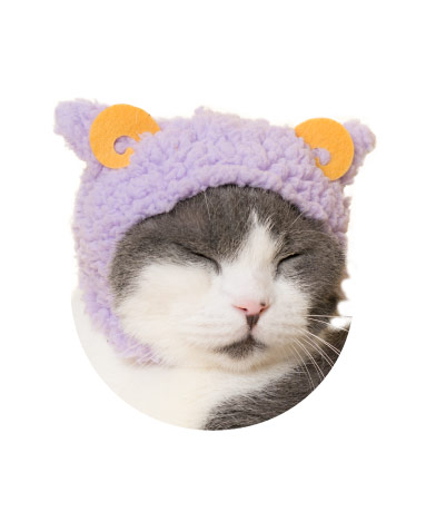 かわいい かわいい ねこひつじちゃん〜ほっこり♡リラックスカラー