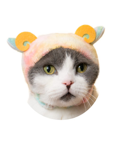 かわいい かわいい ねこひつじちゃん〜ほっこり♡リラックスカラー