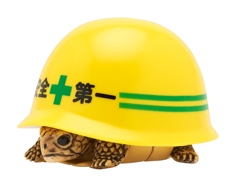 ヘルメット＋カメ｜株式会社キタンクラブ