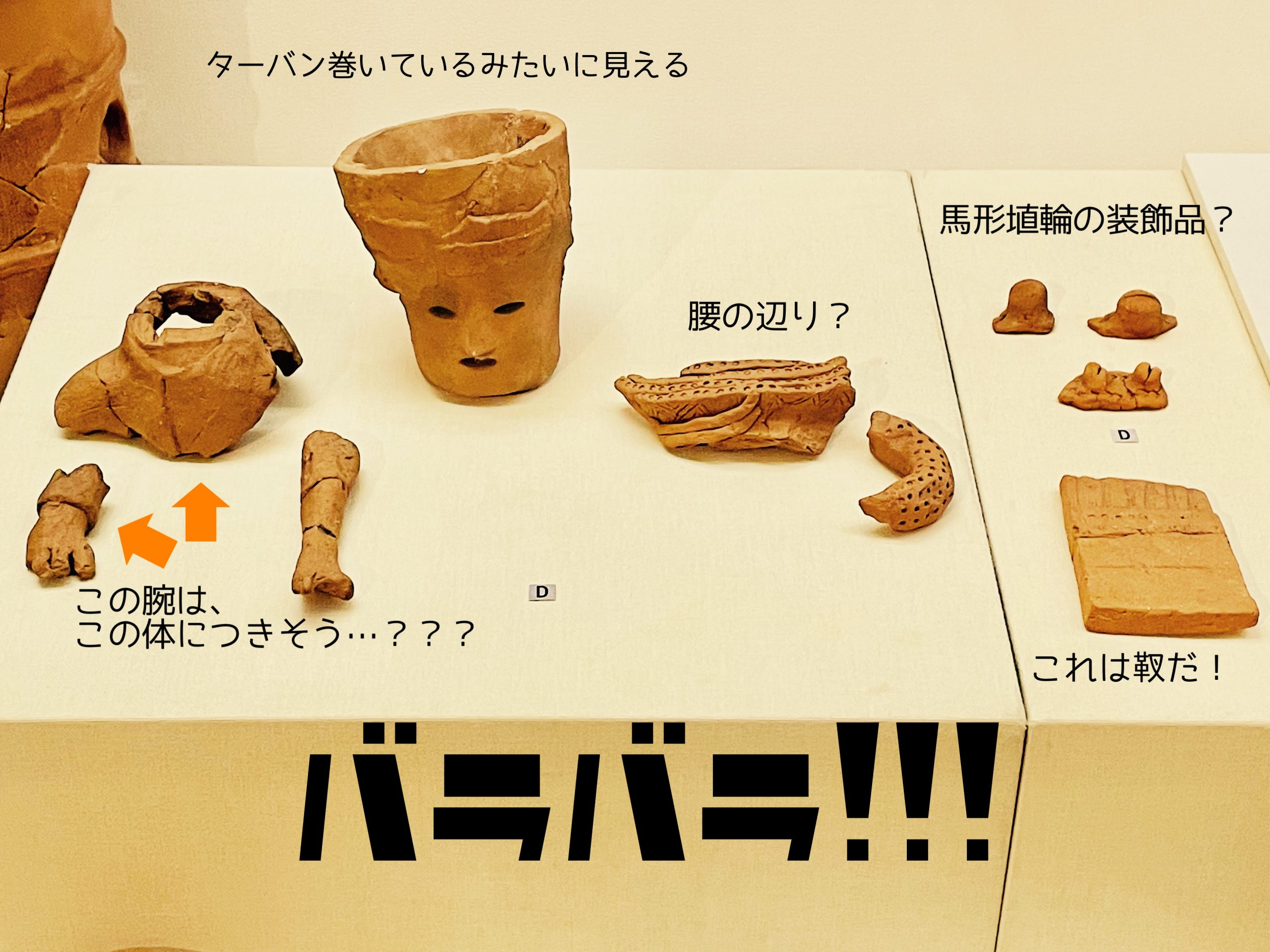 朝倉の古墳はすごいぞ＜前編＞朝倉の古墳～いにしえの首長墓とその周辺