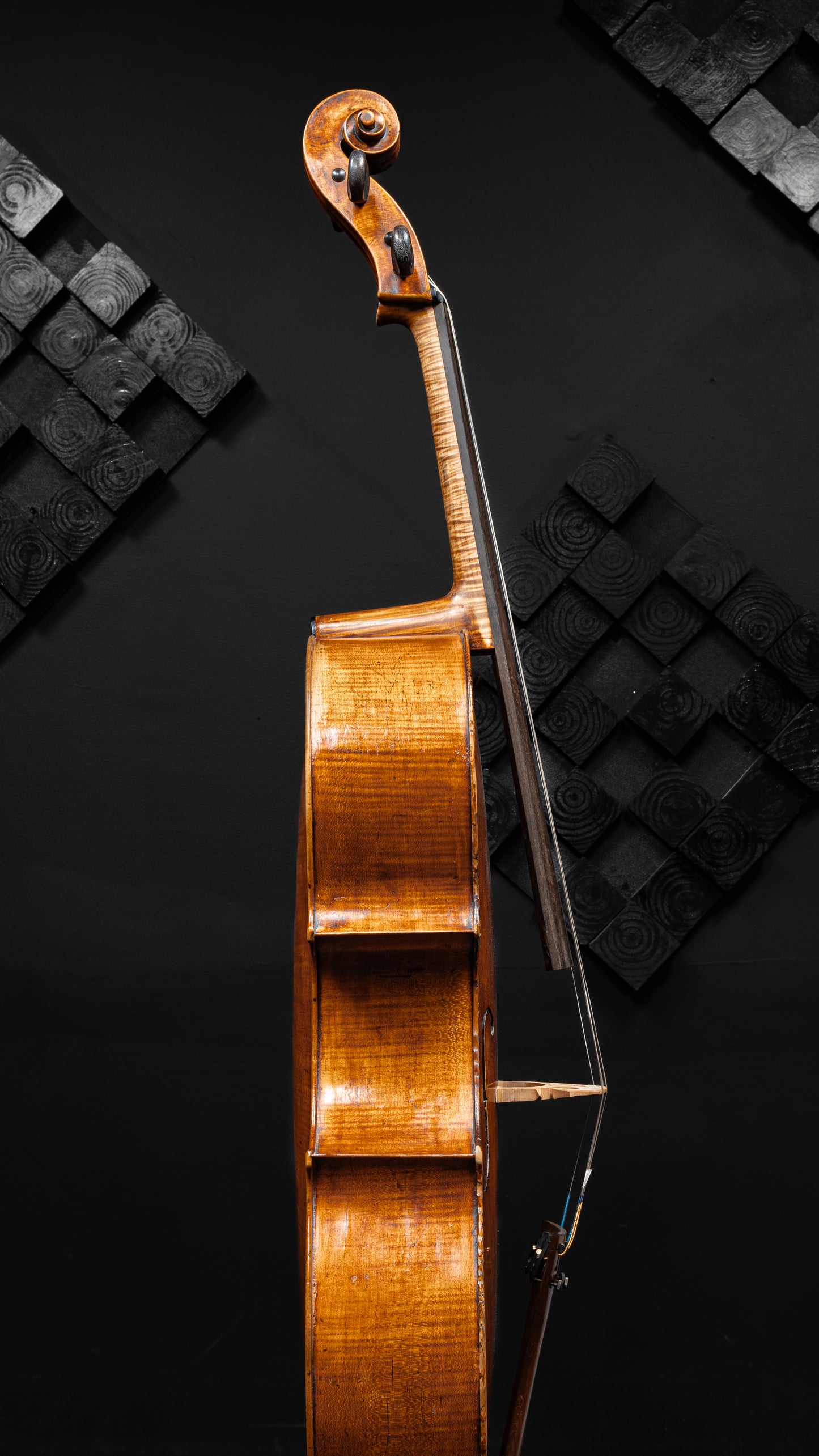Prague Cello Labeled Vincenzo Jorio – Kolstein Music