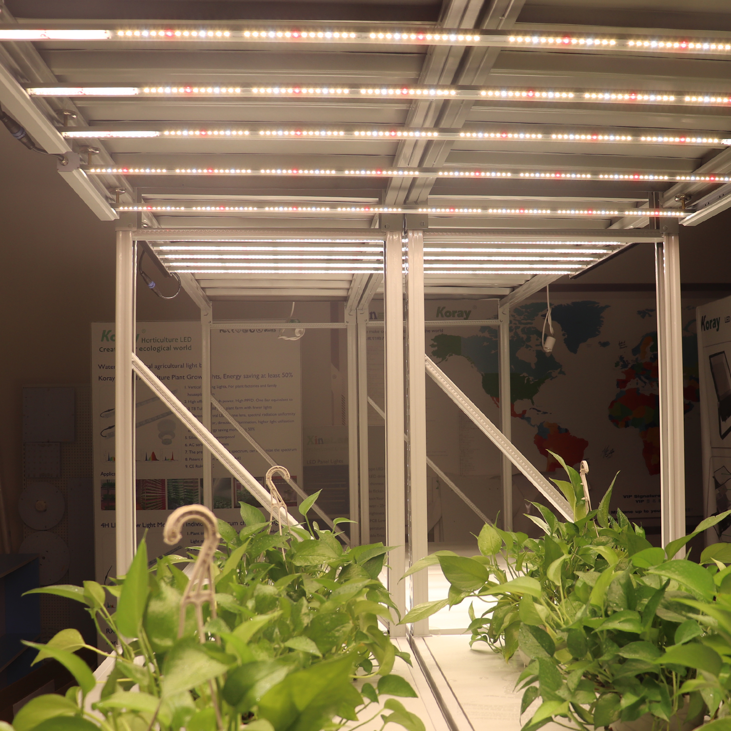 ARZ Array Horticulture Lighting Group Hydroponic vegetables LED