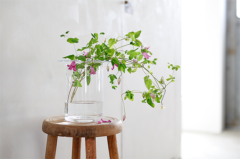 お花屋さんへ行きたくなる「津村里佳」ハナドキ | 暮らしとおしゃれの