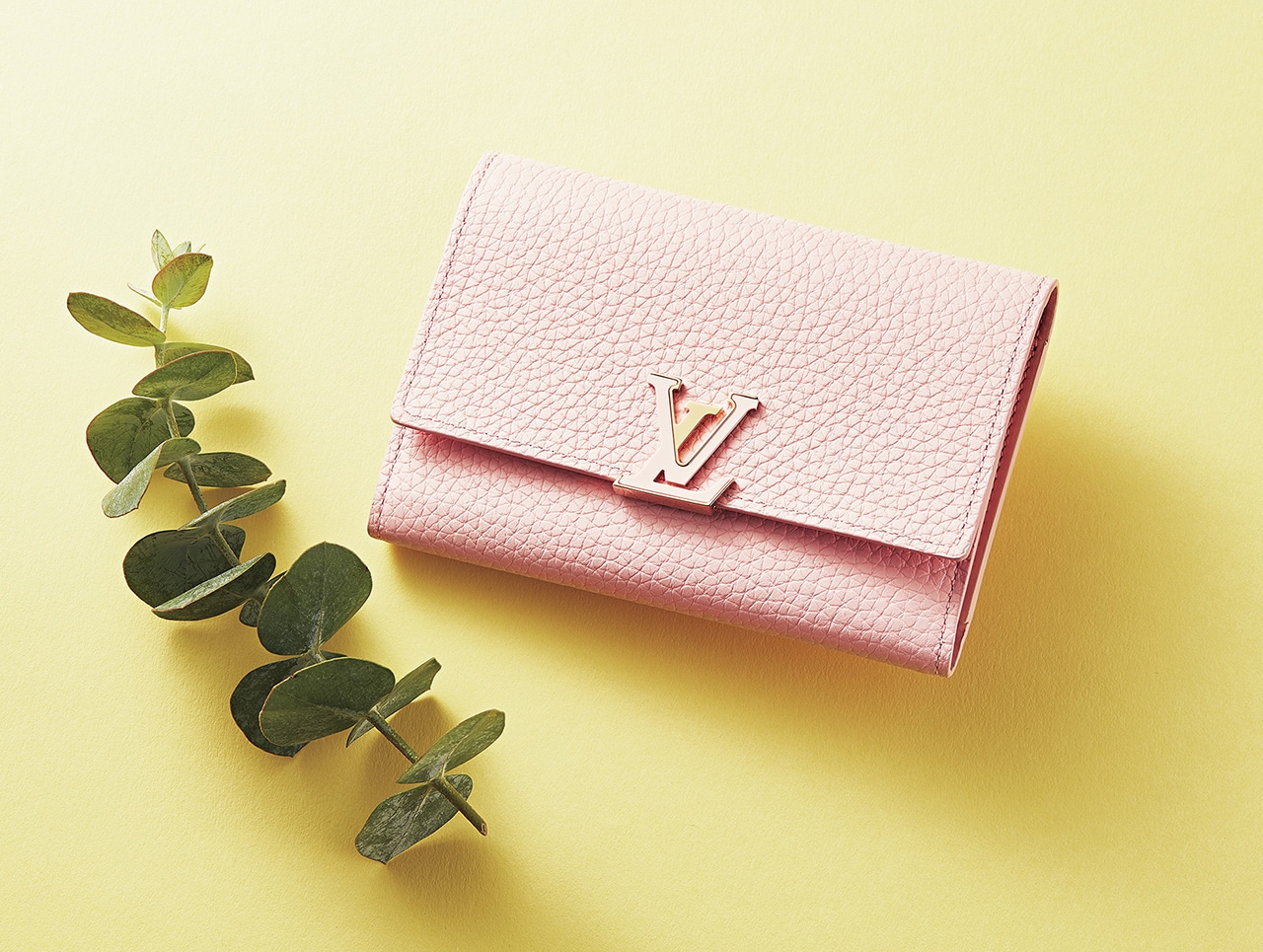 ルイ・ヴィトンの財布】「ポルトフォイユ・カプシーヌ コンパクト