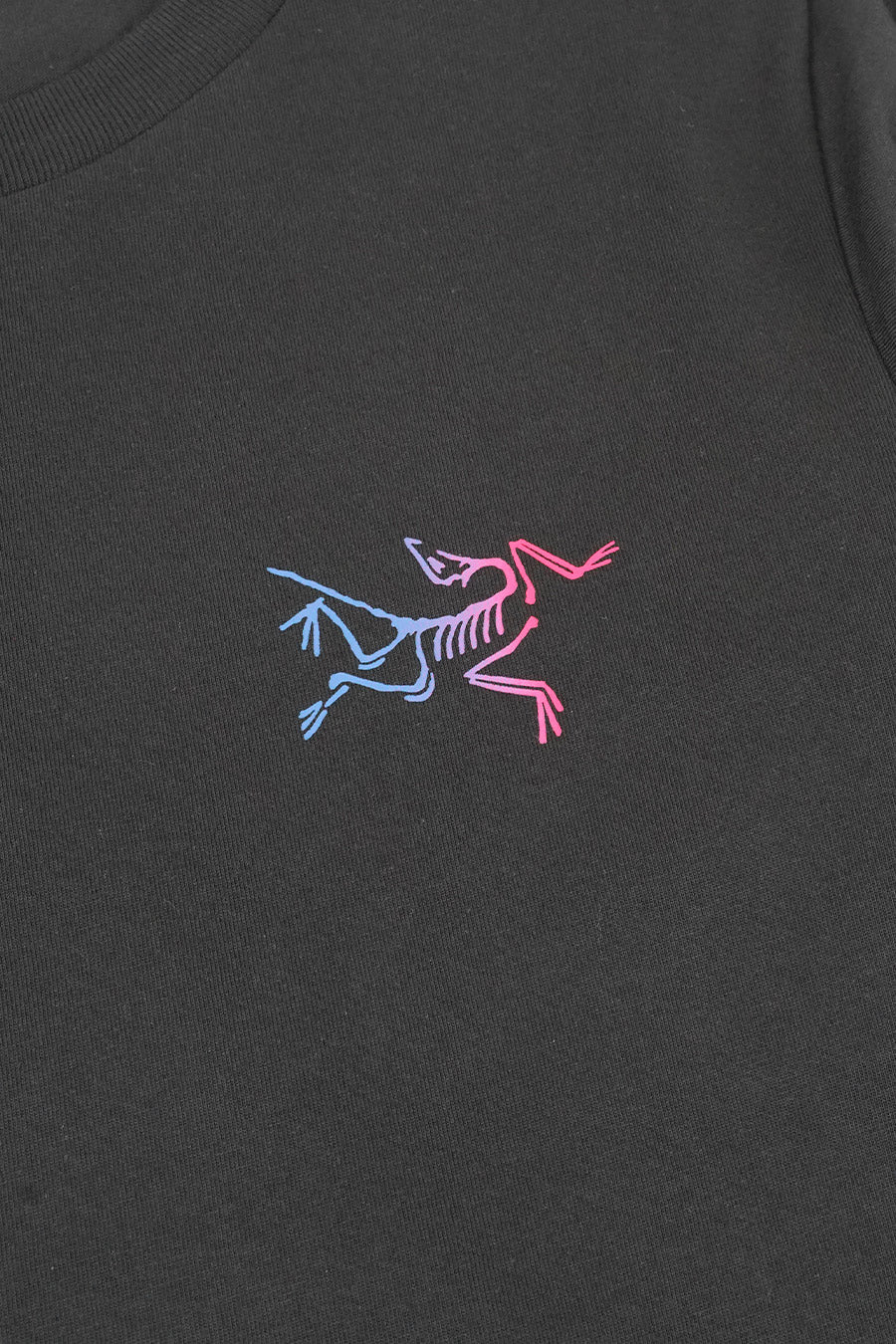 Arc'teryx - BLACK KRAGG T-SHIRT – LE LABO STORE