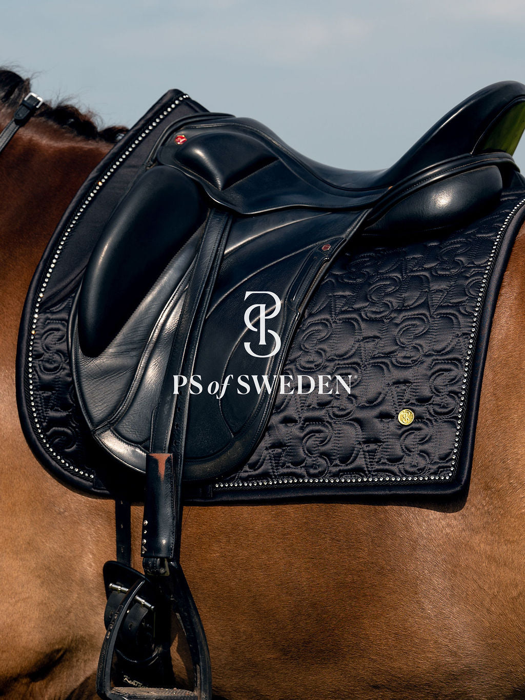 馬場用ゼッケン フリル＆パール付き アナトミカル構造 7色 Ps of