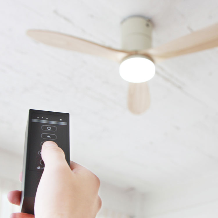 Modern Collection LED シーリングファン REAL wood blades (昼白色