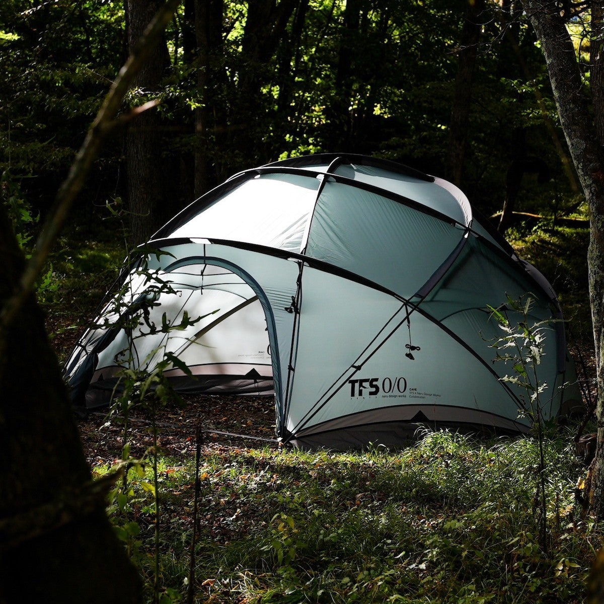 S__8372295_2048x.jpg?v=1679495345