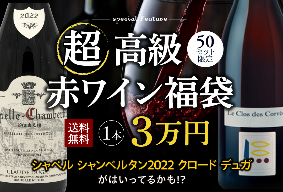 シャトー サン ピエール 2018 750mlフランス ボルドー サンジュリアン