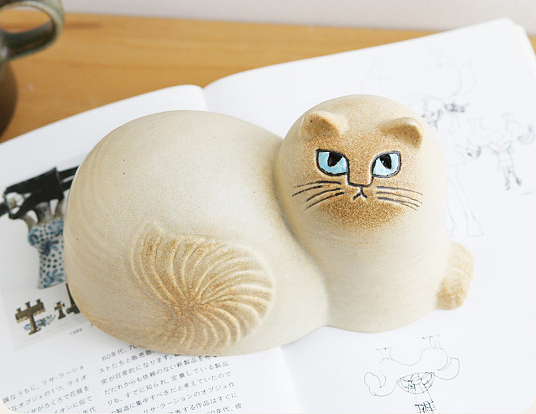 Maj じゃまをする猫「マイ」