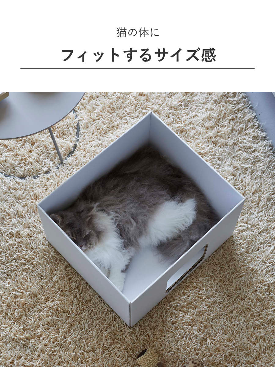 山崎実業 nooks キャットボックス ヌークス 2個組 （ 4903208061377