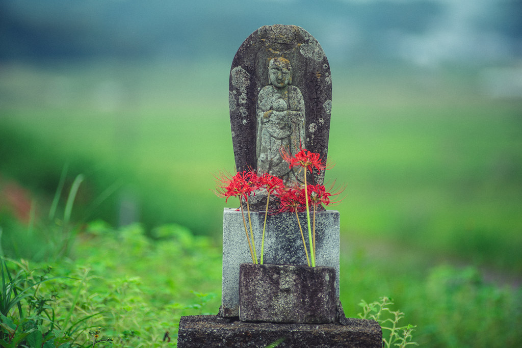 サンニッパで彼岸花 Tokina AT-X SD 300mm F2.8 【作例集