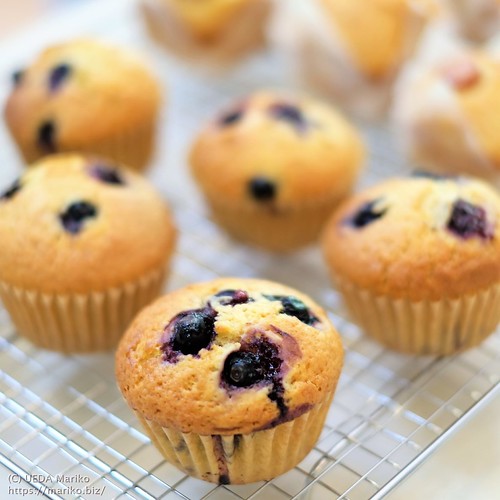 余り種（捨て種）活用のお菓子「ブルーベリーマフィン」「惣菜マフィン