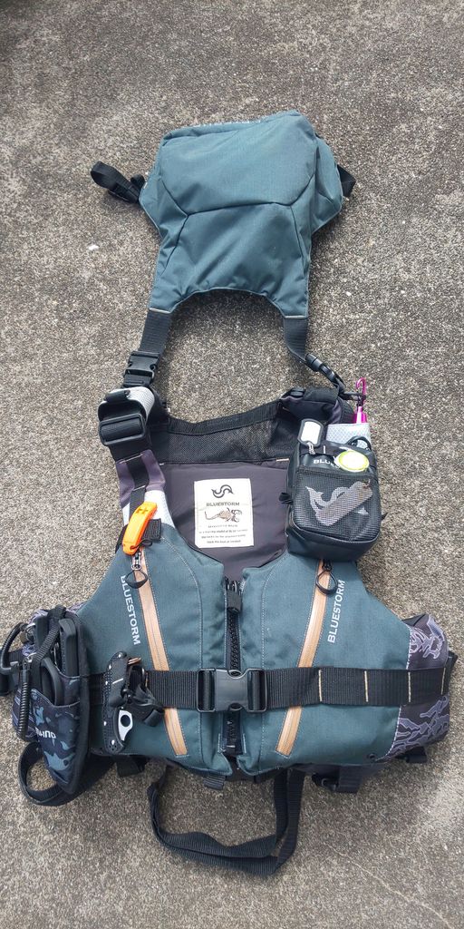 ブルーストーム BSJ-29RS ミクソプテルス : 湘南海辺散歩