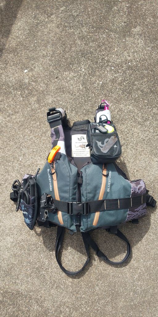 ブルーストーム BSJ-29RS ミクソプテルス : 湘南海辺散歩