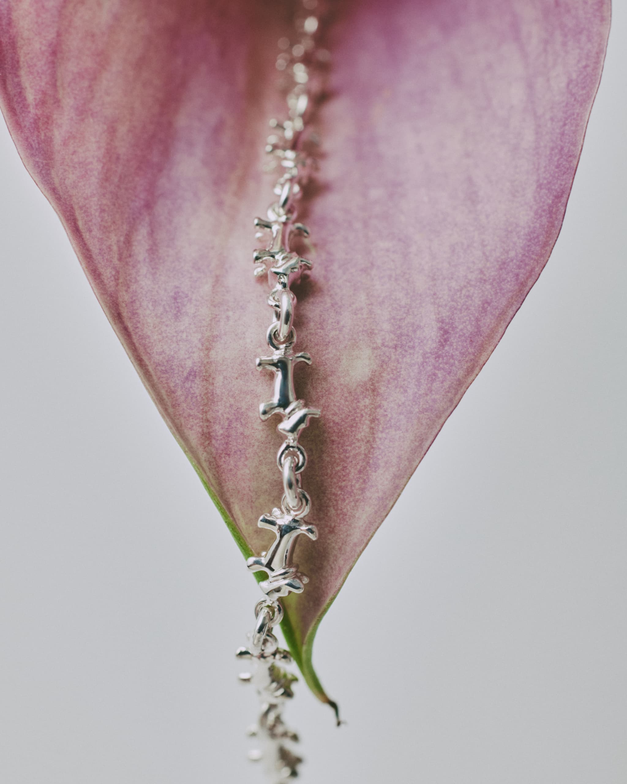 schnauzer chain bracelet 01｜LORO(ロロ)公式通販