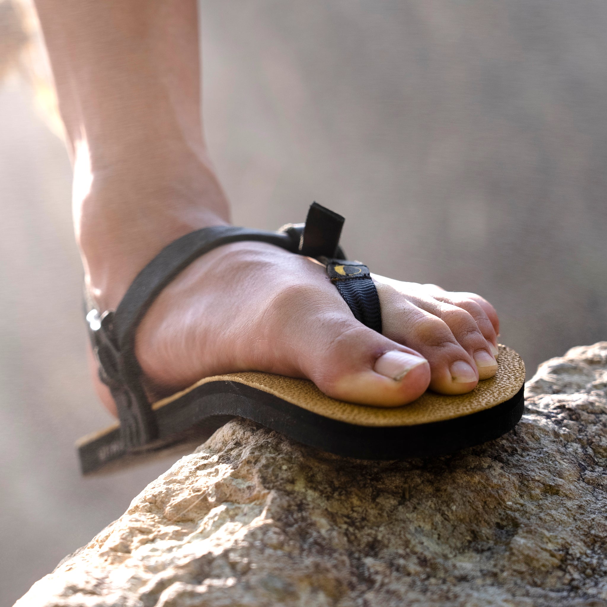 Venado Premium Cabra Winged Edition〔ベナード プレミアム カブラ