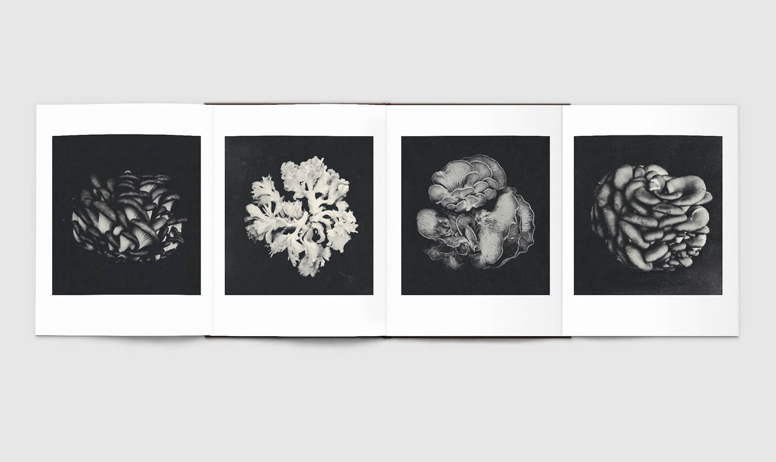 Sachiko Morita | Lula JAPAN [ルラ ジャパン]