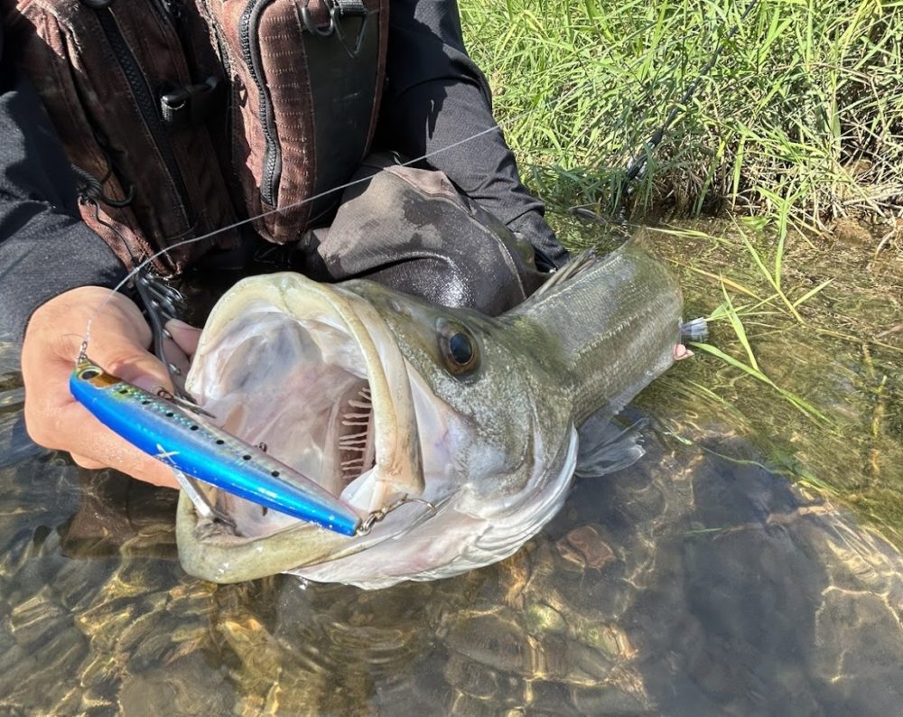 テンリュウ]スワットSW932S-LMLをインプレ！重い？ベストなリールは