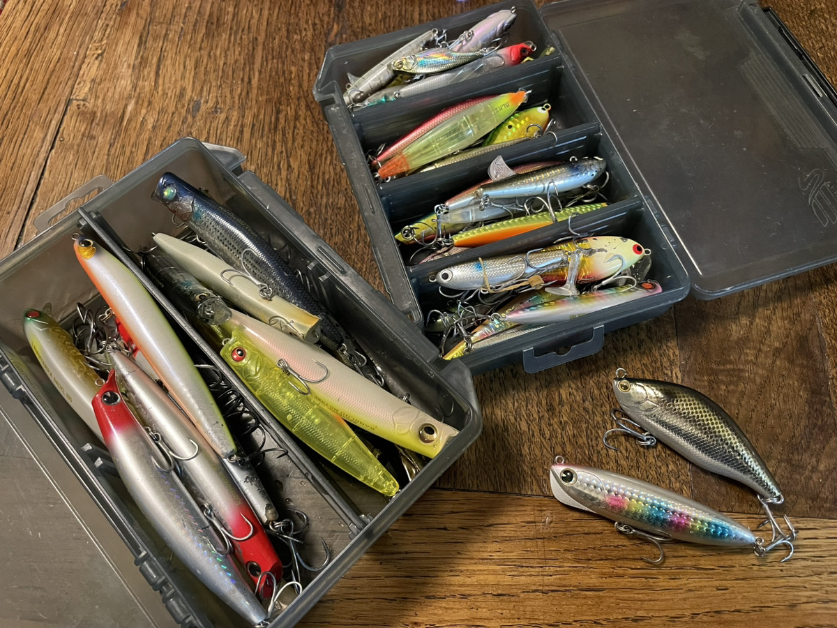 シーバスルアーのカラーの選び方とシチュエーション別のおすすめ