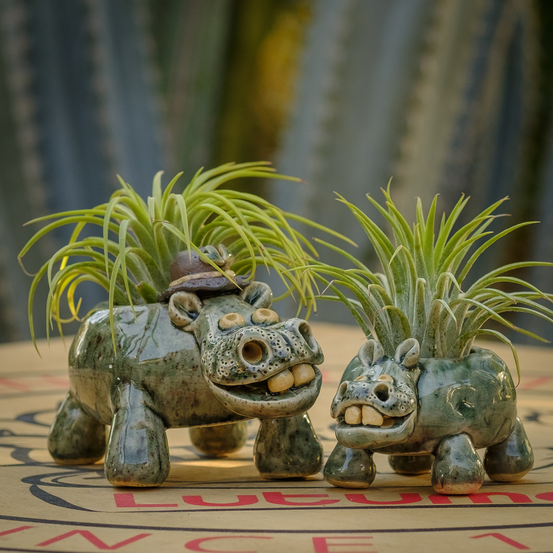 Hippo – Pair 2025 (Jade) – Lutume