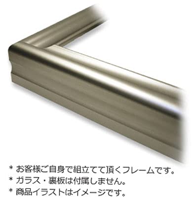 Amazon.co.jp: 額縁 仮縁 オール50 チタン F50キャンバス用 (1167