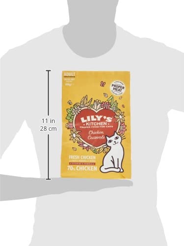 Amazon | LILY'S KITCHEN 成猫チキンキャセロール 800g | Lily's