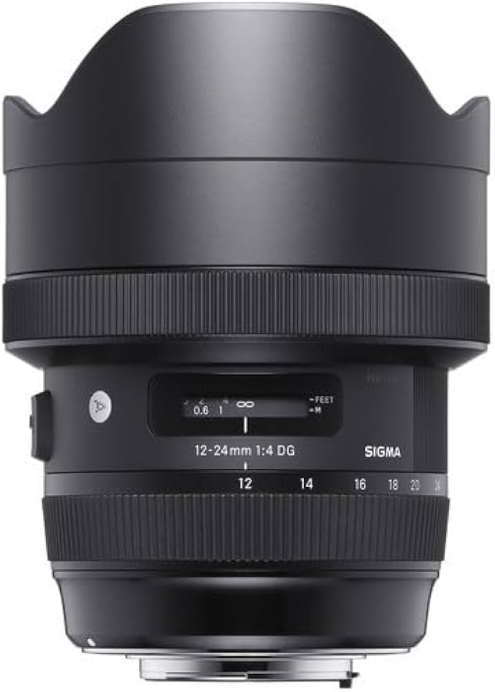 Amazon.com : Sigma 12-24mm f/4 DG HSM Art Lens for Canon EF Bundle