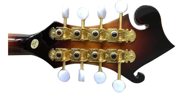 Amazon | PLAYTECH (プレイテック) Fスタイルフラットマンドリン