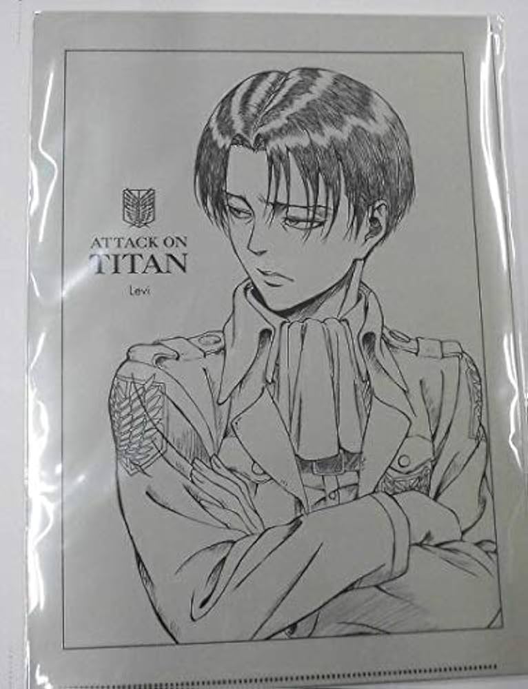 Amazon.co.jp: 進撃の巨人 WIT STUDIO 描き下ろしクリアファイルセット