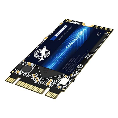 Amazon.com: THREE COLOUR DOGFISH M.2 2242 SSD 4TB 3D NAND QLC SATA