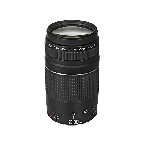 Amazon.co.jp: キャノンEF 75-300mm f/4-5.6 III 望遠ズームレンズ