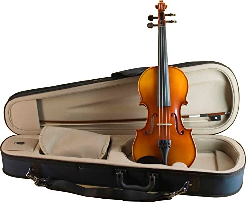 Amazon | 鈴木 アウトフィット バイオリン No.230 1/8 | バイオリン