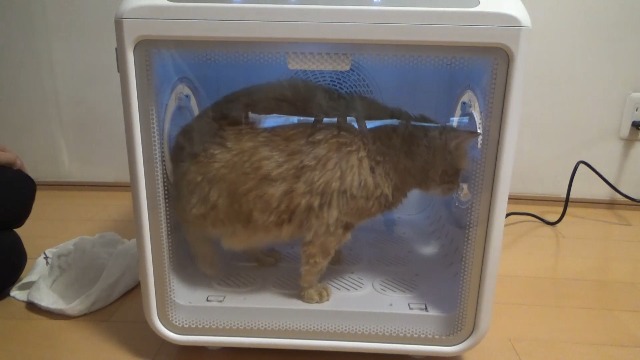 AIRROBO PD100 ペットドライルームの使用手順