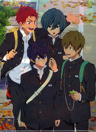 Amazon.co.jp: Free! ハイ☆スピード クリアファイル 椎名旭 七瀬遙 橘