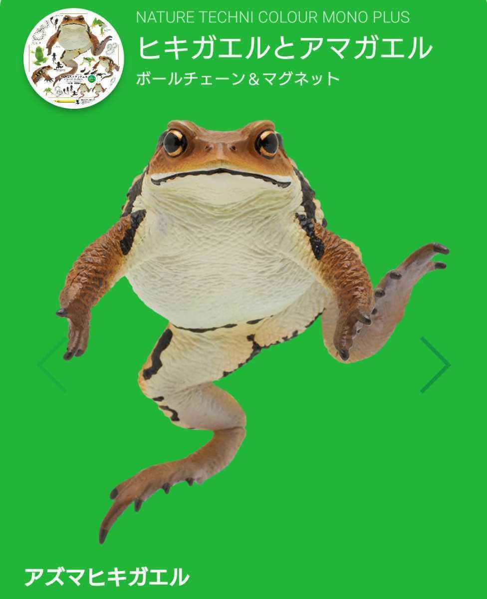 Amazon.co.jp: ネイチャーテクニカラー ヒキガエルとアマガエル アズマ