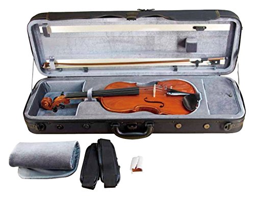 Amazon | 鈴木 アウトフィット バイオリン No.300 4/4 | バイオリン