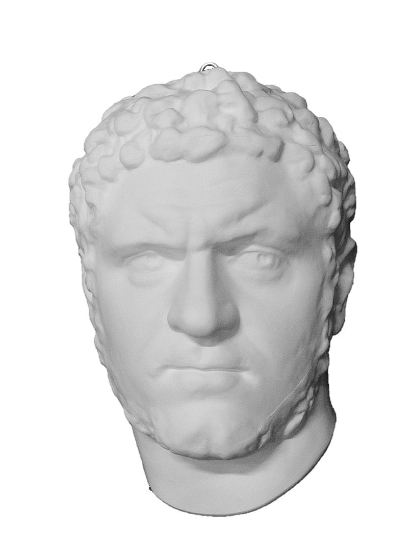 Amazon.co.jp: 石膏像 M－429 カラカラ帝半面 H．30cm