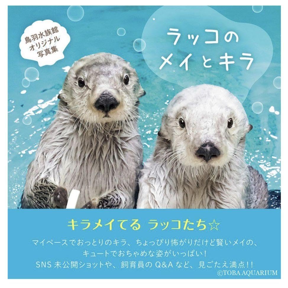 Amazon.co.jp: 鳥羽水族館 らっこ ラッコ 写真集 ラッコのメイとキラ