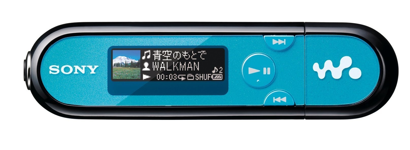 Amazon.co.jp: SONY ウォークマン Eシリーズ FM付 [メモリータイプ