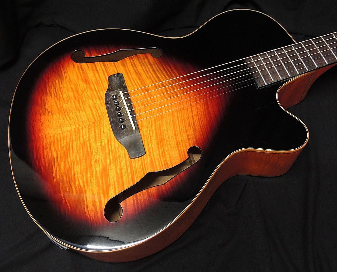 Amazon | 【特別カラー】ARIA FET-F2 BSG Fホールエレアコ オリジナル