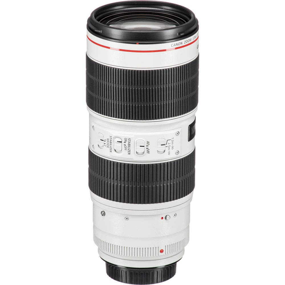 Amazon.com : Canon EF 70-200mm f2.8 L is III USM Telephoto Lens