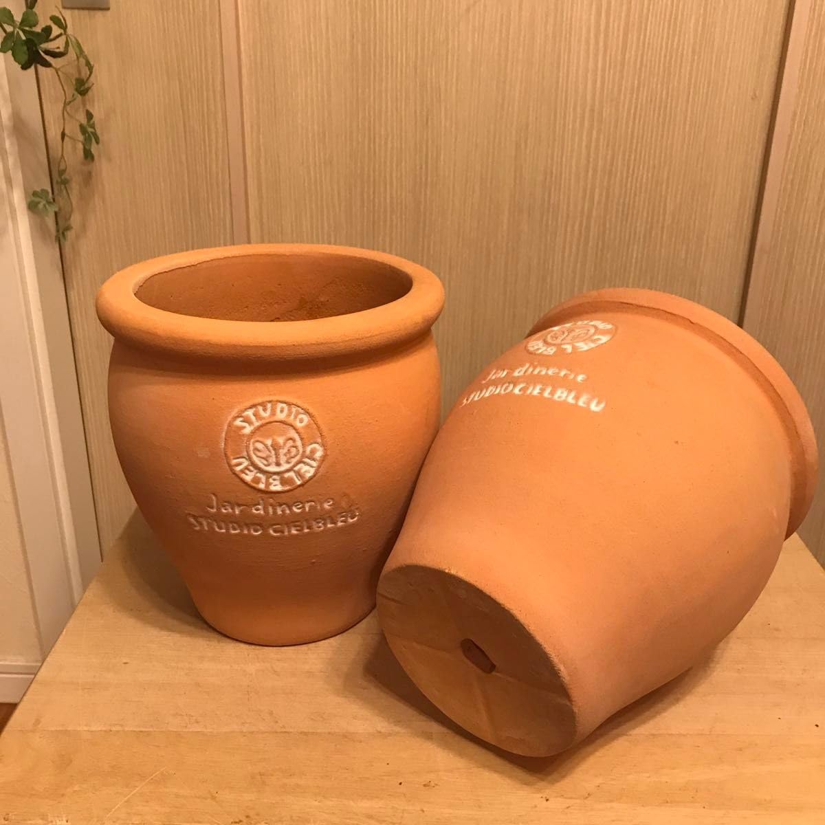 Amazon.co.jp: 2個素焼き 壺型テラコッタ鉢 多肉植物鉢 植木鉢
