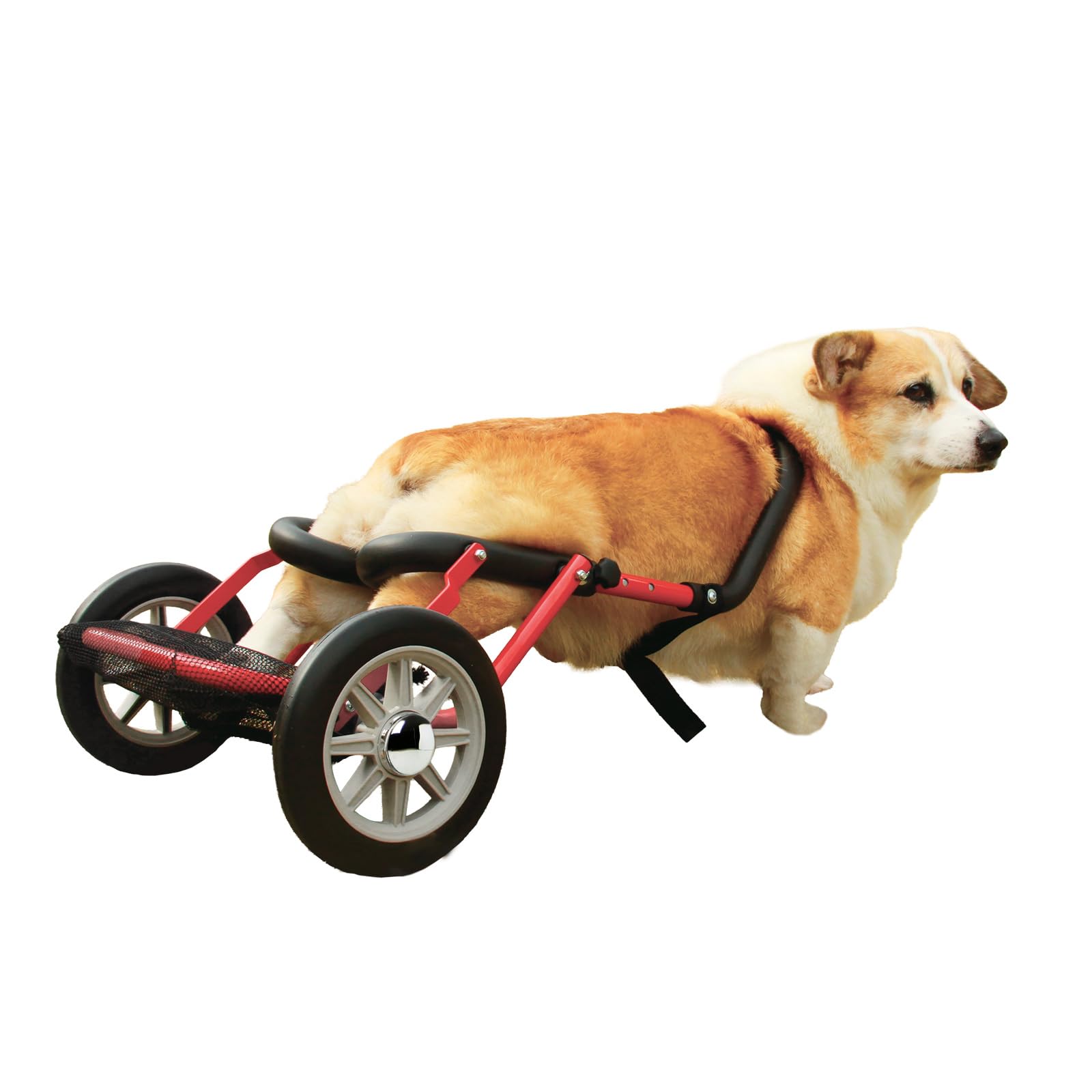 Amazon | PaletteLife パレットライフ 犬用車椅子 ドッグウォーカー