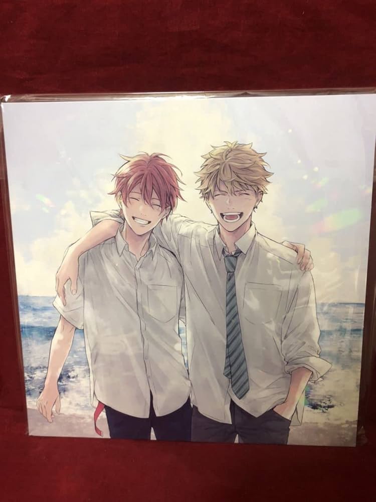 Amazon.co.jp: ギヴン Blu-ray/DVD全巻購入特典 LPサイズディス収納