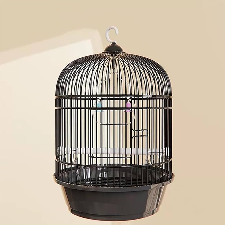 Amazon | Zifizo インテリア 鳥籠 持ち運び 鳥かご おしゃれ 鳥 ケージ