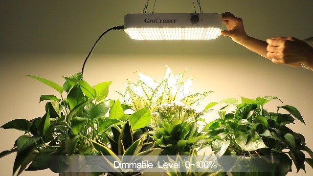 Amazon.com : GroCruiser 1000W LED Grow Light Dimmable, UV-IR