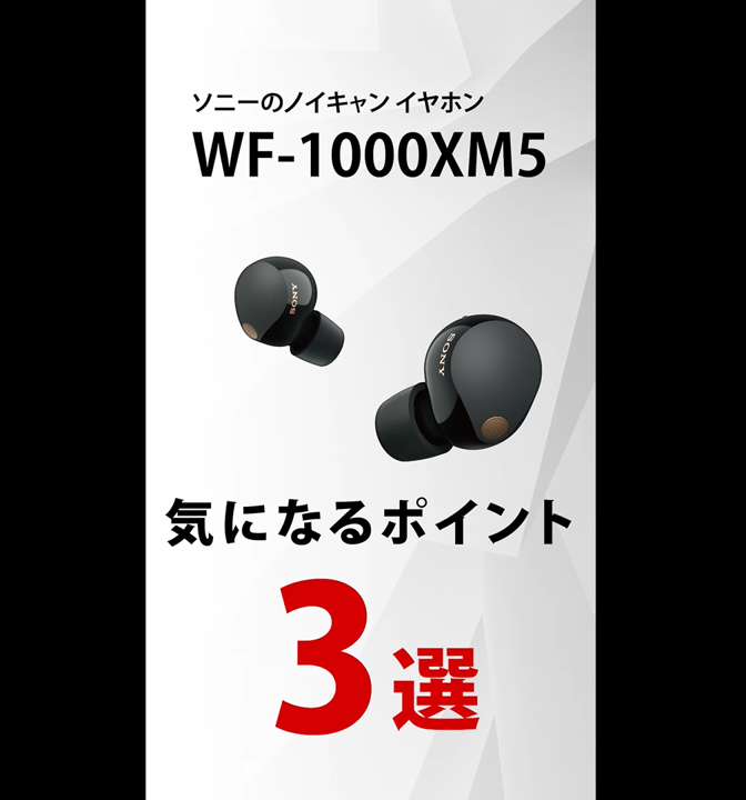 Amazon.co.jp: ソニー(SONY)ワイヤレスノイズキャンセリングイヤホン